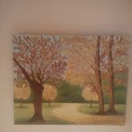 Profile Picture of jose antonio (@correodejoseyroy) on Instagram