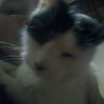 Profile Picture of chastity bates (@chastotybates) on Instagram