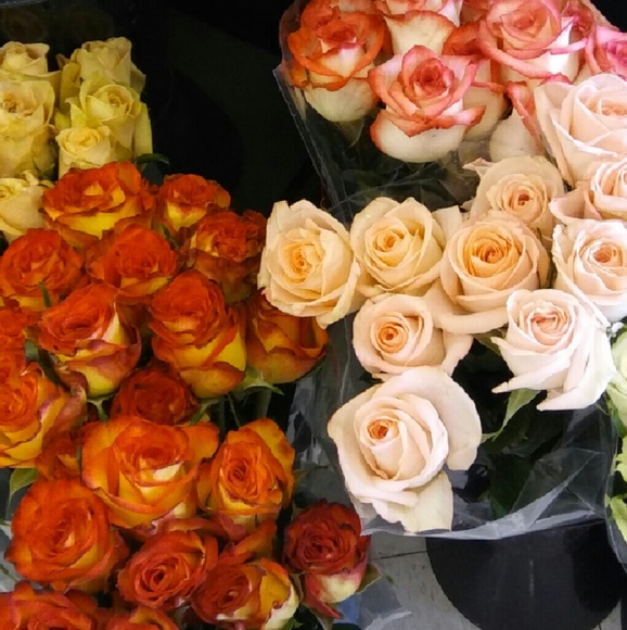 Profile Picture of Jeanette Oregel (@jeany1313) on Poshmark