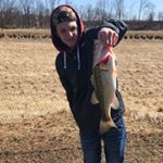 Profile Picture of Lucas Higgins (@higgins_lucas) on Instagram