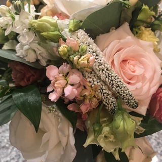 Profile Picture of Susan Whitehead (@susan.whitehead.7165) on Facebook