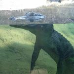 Profile Picture of Nancy Brannon (@nrbbrannon) on Instagram