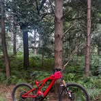 Profile Picture of Steven Edwards (@Steven-Edwards) on Facebook