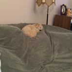 Profile Picture of Guadalupe McAlpine (@guadalupe.mcalpine.1) on Facebook