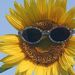 Profile Picture of Jeanne Clifford (@jeanne_clifford) on Pinterest