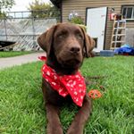 Profile Picture of Paula D Beard (@pauladbeard) on Instagram