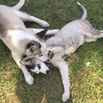 Profile Picture of Leo Jaimes (@leo_jaimes43) on Instagram