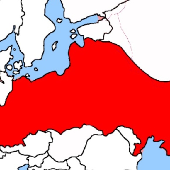 Aimee Kenson - Poshmark Profile Picture of Aimee Kenson (@anhkenson) on Poshmark