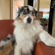 Profile Picture of Jeff Johanson (@jeffjohanson) on Youtube