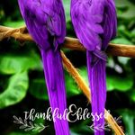 Profile Picture of Tonya Everhart (@tonya.everhart.773) on Instagram