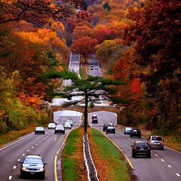 Profile Picture of Tamora Gilbert (@tgil1578) on Poshmark