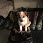 Profile Picture of Mark Bauer (@markbauer4031) on Youtube