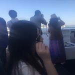 Profile Picture of Xiaodan Li (@ivyleexd) on Instagram