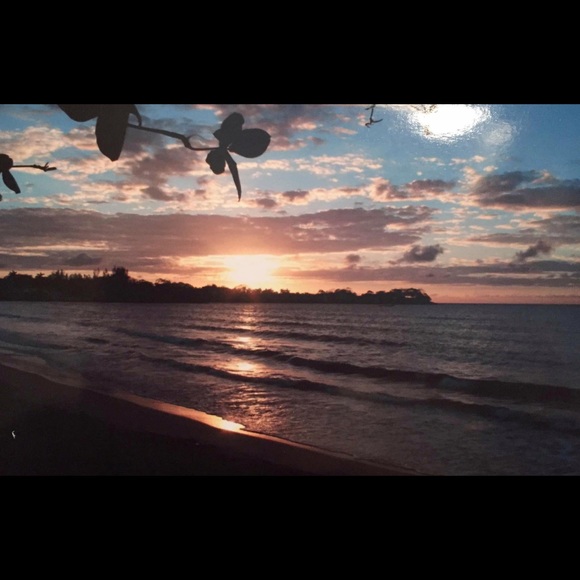 Profile Picture of Theresa Muise (@tjm31) on Poshmark