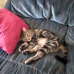 Paul Kubala - Instagram Profile Picture of Paul Kubala (@kubsy72) on Instagram