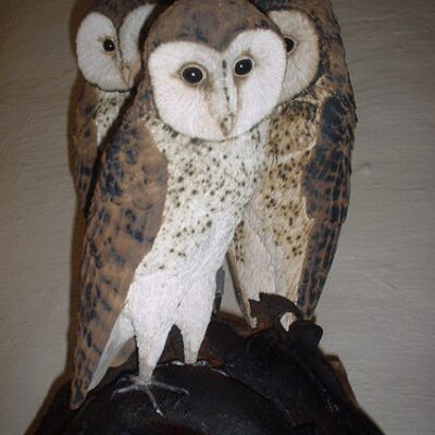 Profile Picture of Thomas Rech Deng (@ThomasRechDeng) on Twitter