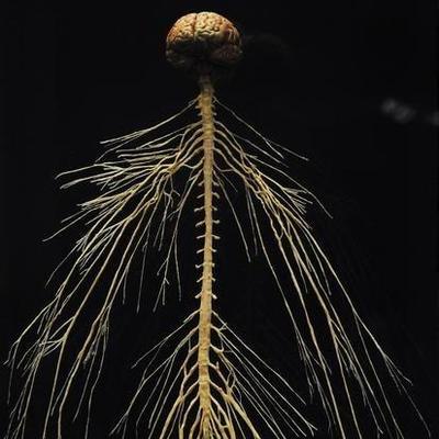 Profile Picture of Timothy Alan Boyd (@timothyaboyd) on Twitter