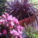 Profile Picture of Sandra Scaffidi (@Sandra-Scaffidi) on Facebook