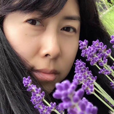 Profile Picture of Feng Ling (@fengling2020) on Twitter