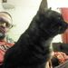 Profile Picture of Jason Bianchi (@jmbianchi1) on Pinterest