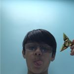 Profile Picture of Aaron Chandool (@the_a_bulb) on Instagram