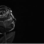 Profile Picture of sham (@o_t_o_tt) on Instagram