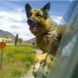 Jake Burris - Twitter Profile Picture of Jake Burris (@jb_burris95) on Twitter