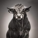 Profile Picture of Chawi Ôn Bàrson (@ch.iko4394) on Instagram