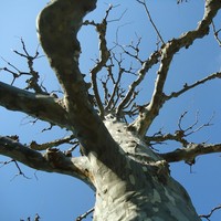 Profile Picture of Paul Ann (@paul-ann-2) on Quora