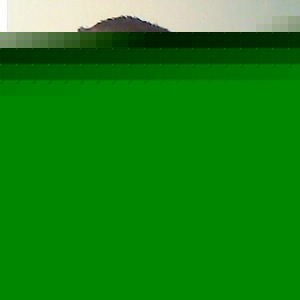 Profile Picture of Christopher Arrow (@443860171) on Myspace