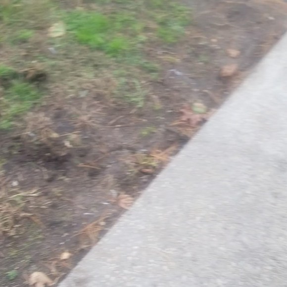 Rosanne Lippi - Poshmark Profile Picture of Rosanne Lippi (@rose727lamb) on Poshmark