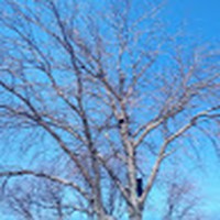 Profile Picture of Mariana Allen (@mariana-allen-4) on Quora