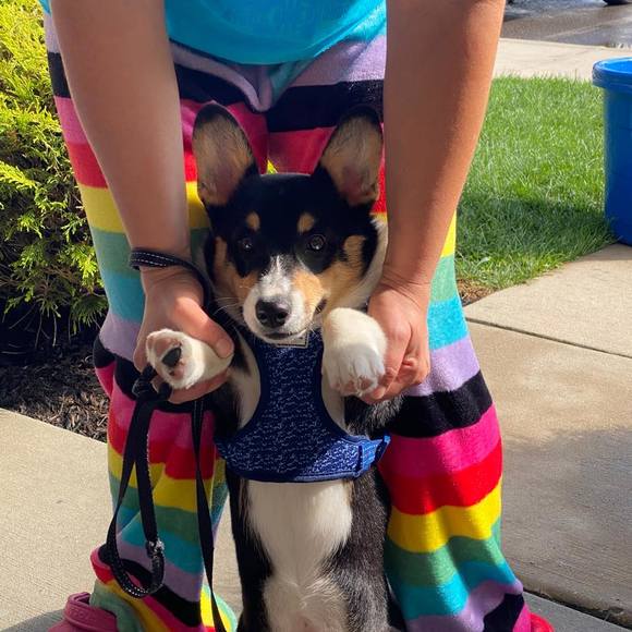 Profile Picture of Jetta Sherbin (@jetta1430) on Poshmark