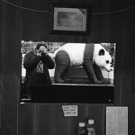 Profile Picture of Peter Kruschwitz (@the petrified muse) on Flickr