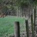 Profile Picture of Guy Crabbe (@crabbeguy) on Pinterest