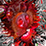 Profile Picture of Brad Paro (@digitaldancer) on Flickr