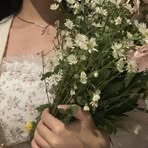 Profile Picture of Iris Canola (@Iris-Canola) on Facebook