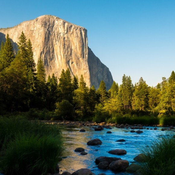 Profile Picture of Lee Wright (@leewright748) on Poshmark