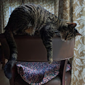 Profile Picture of Steven Rosales (@StevenRosalesAKArahz) on Youtube