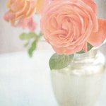 Profile Picture of Dennis Magnuson (@gatonlogra) on Instagram