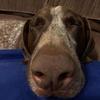 Profile Picture of Sherry Hooker Godoy (@@sherryhookergodoy) on Tiktok