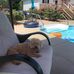 Profile Picture of Staci Spaulding (Staci Spaulding) (@sandy.spaulding.184) on Facebook