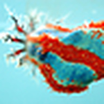 Profile Picture of Chris Martinez (@sillymunky-chris) on Flickr