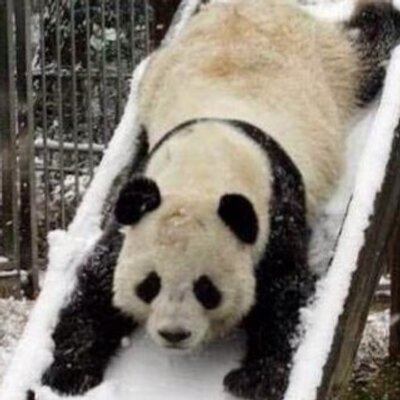 Profile Picture of Andrea Barron (@andbar1) on Twitter