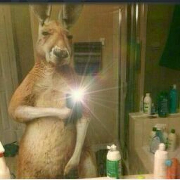 Profile Picture of Daniel Meza (@mastameza1) on Poshmark