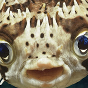 Profile Picture of Derek Abreu (@derekabreu2808) on Youtube