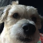 Profile Picture of Nancy Markott Werner (@nancywerner372) on Instagram