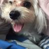 Profile Picture of blakehack (@blake.hack) on Tiktok