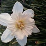 Profile Picture of Robin Hudgens (@robin.hudgens.96) on Instagram