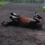 Profile Picture of Jörg Lukiewski (@jorglukiewski7182) on Youtube